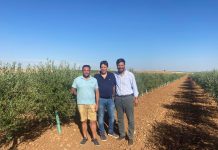 Un agricultor levanta más de cuarenta hectáreas financiándose con pequeños inversores Alboris Mancha