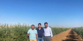 Agricultores levantan más de cien hectáreas financiándose con pequeños inversores Alboris Mancha