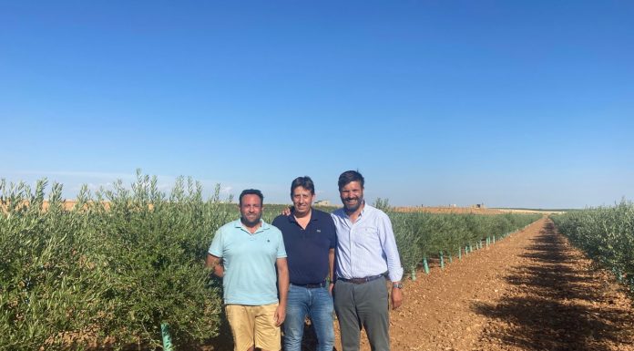 Un agricultor levanta más de cuarenta hectáreas financiándose con pequeños inversores Alboris Mancha