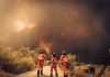 Los ingenieros agrónomos preparan medidas de apoyo para los afectados por los incendios Incendio