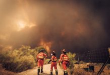 Los ingenieros agrónomos preparan medidas de apoyo para los afectados por los incendios Incendio