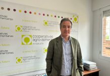 Opinión. Aceite de oliva: La oportunidad para liderar no sólo la producción, sino la comercialización. Jaime Martínez-Conradi. Director general de Cooperativas Agro-alimentarias de Andalucía Jaime Martínez Conradi