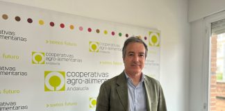 Opinión. Aceite de oliva: La oportunidad para liderar no sólo la producción, sino la comercialización. Jaime Martínez-Conradi. Director general de Cooperativas Agro-alimentarias de Andalucía Jaime Martínez Conradi