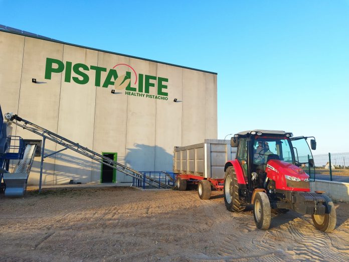 Pistalife