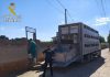 El SEPRONA inmoviliza 28 cabezas de ganado ovino por incumplir la normativa de sanidad animal Guardia Civil ganadería