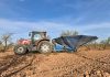 La campaña de la almendra se generaliza en Castilla-La Mancha, con una importante caída de producción campaña de almendra