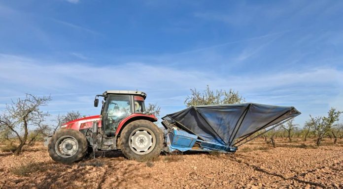 La campaña de la almendra se generaliza en Castilla-La Mancha, con una importante caída de producción campaña de almendra