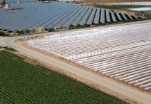 La gran mayoría de habitantes del medio rural reclaman proteger los suelos frente a las fotovoltaicas fotovoltaicas