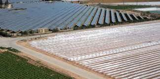 La gran mayoría de habitantes del medio rural reclaman proteger los suelos frente a las fotovoltaicas fotovoltaicas
