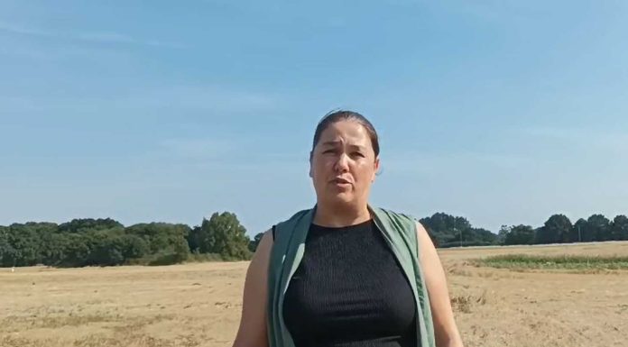 Vídeo. Ganadera gallega lamenta la situación de los pastos por las olas de calor ganadera gallega COAG