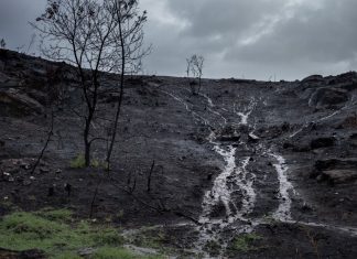 Pide que se gestionen las zonas incendiadas antes de que llueva para evitar el ‘chapapote del monte’ incendio