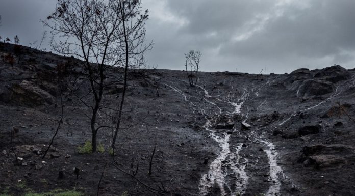 Pide que se gestionen las zonas incendiadas antes de que llueva para evitar el ‘chapapote del monte’ incendio