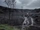 Pide que se gestionen las zonas incendiadas antes de que llueva para evitar el ‘chapapote del monte’ incendio