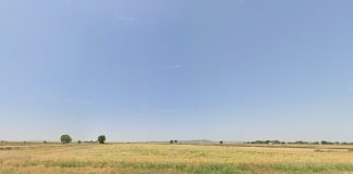 Más de 100.000 metros cuadrados de terreno agrario, forestal y de pastos salen a subasta parcela a subasta