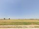 Más de 100.000 metros cuadrados de terreno agrario, forestal y de pastos salen a subasta parcela a subasta