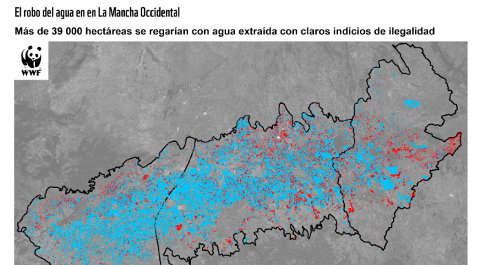 WWF denuncia que el Alto Guadiana “es el epicentro del robo del agua”