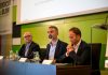 La Junta de Andalucía estima para 2026/27 una producción de 1.261.200 toneladas de aceite de oliva aforo del olivar