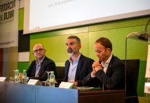 La Junta de Andalucía estima para 2026/27 una producción de 1.261.200 toneladas de aceite de oliva aforo del olivar