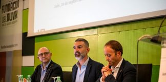 La Junta de Andalucía estima para 2026/27 una producción de 1.261.200 toneladas de aceite de oliva aforo del olivar