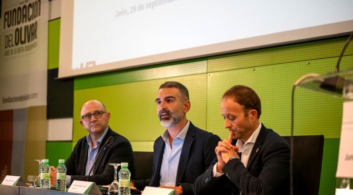 La Junta de Andalucía estima para 2026/27 una producción de 1.261.200 toneladas de aceite de oliva aforo del olivar