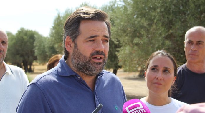 Núñez garantiza que el PP bajará los impuestos a agricultores y ganaderos Paco Núñez