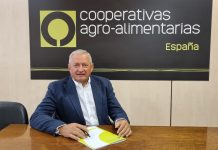 Opinión. El futuro del aceite de oliva español también se juega en la comercialización. Ángel Villafranca. Presidente de Cooperativas Agro-alimentarias de España Ángel Villafranca