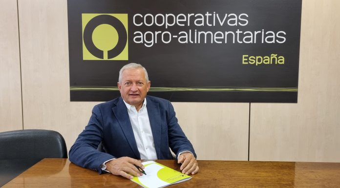 Opinión. El futuro del aceite de oliva español también se juega en la comercialización. Ángel Villafranca. Presidente de Cooperativas Agro-alimentarias de España Ángel Villafranca