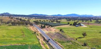 Agroturismo y naturaleza: cómo preparar fincas y caminos para recibir visitantes agroturismo