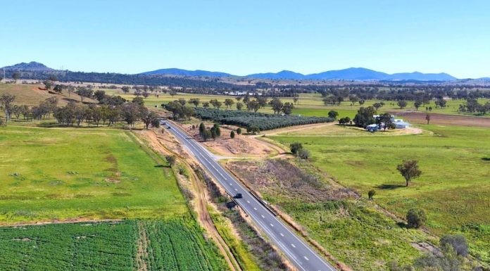 Agroturismo y naturaleza: cómo preparar fincas y caminos para recibir visitantes agroturismo