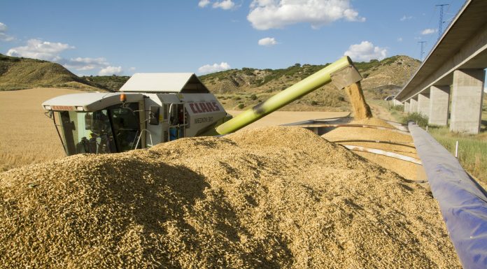 UPA pide a Competencia que investigue las prácticas de los comercializadores de cereal cereales