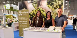 La Diputación de Ciudad Real recibe la certificación de Oleoturismo España DIPU CR