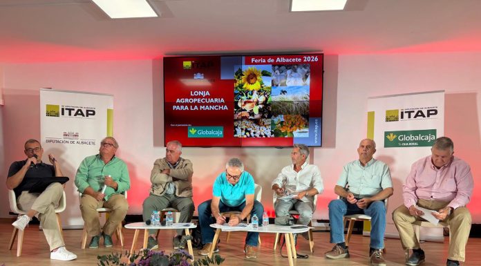La almendra repunta en la Lonja de Albacete mientras el pistacho mantiene sus cotizaciones Lonja de Albacete