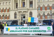 Opinión. Pérdidas millonarias en el plátano de Canarias. Amable del Corral. Directiva Regional de PALCA (Canarias) plátano de Canarias