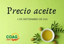 Precio medio del aceite de oliva en origen (4-septiembre-2026)