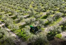 Inicia un proyecto de investigación de ámbito nacional sobre la digitalización del olivar olivar