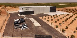 SABA Pistachios duplica su capacidad de procesado para liderar la compra de pistacho en verde en España SABA Pistachios