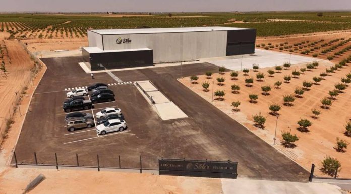 SABA Pistachios duplica su capacidad de procesado para liderar la compra de pistacho en verde en España SABA Pistachios