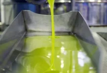 Andalucía reclama investigar las importaciones de aceite de oliva de Túnez aceite de oliva
