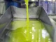 Agosto cierra con un ritmo lento en las salidas del aceite de oliva aceite de oliva