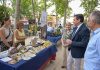 El presidente de la Diputación de Ciudad Real advierte que “la disponibilidad del agua no está garantizada para los agricultores” Diputación de Ciudad Real