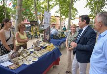 El presidente de la Diputación de Ciudad Real advierte que “la disponibilidad del agua no está garantizada para los agricultores” Diputación de Ciudad Real