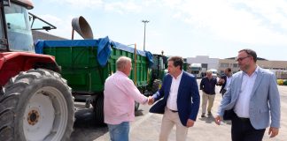 Alerta sobre el riesgo de los excedentes en el sector del vino Diputación de Ciudad Real