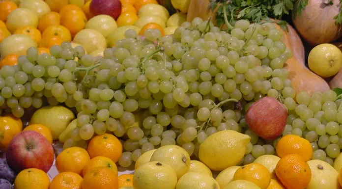 Mangos con plaguicidas, fresas con oxamilo o albaricoques con aflatoxina, “agosto negro” por las alertas de terceros países frutas y hortalizas