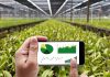 Aprobadas 2.000 solicitudes de las ayudas del Plan Renove 2026 de maquinaría agrícola Plan renove