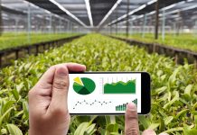 Aprobadas 2.000 solicitudes de las ayudas del Plan Renove 2026 de maquinaría agrícola Plan renove