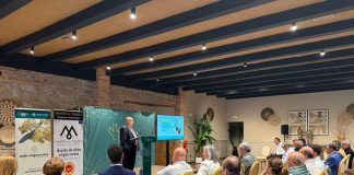 La DOP Montes de Toledo y Fundación Eurocaja Rural reúnen a expertos del sector oleícola DOP Montes de Toledo