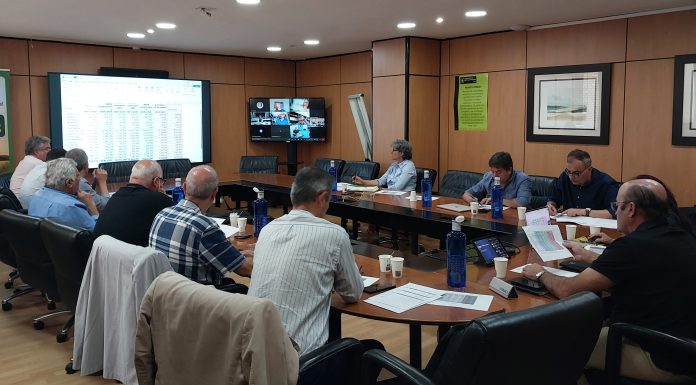 Cooperativas Agro-alimentarias prevé una cosecha de vino y mosto de 34 millones de hectolitros Cooperativas