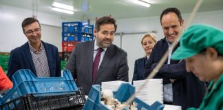 PP Castilla-La Mancha apuesta por la bajada de impuestos para impulsar el campo y la industria agroalimentaria Paco Núñez