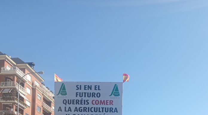 Opinión. Y volvieron de la no tractorada de Madrid muy tristes. Antonio Gómez Olmos. Editor de agroclm Tractorada Madrid 2026