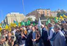 ASAJA, COAG y Unión de Uniones agradecen el comportamiento ejemplar del campo en Madrid y estudian un nuevo calendario de movilizaciones tractorada